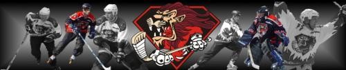 IHC Red Lions