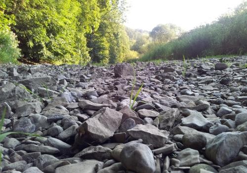 Donau Donau - Trockenes Flussbett