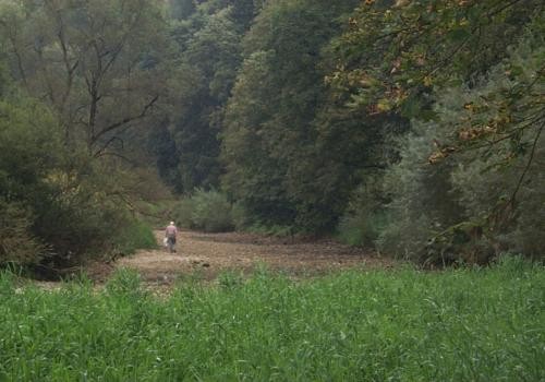 Donauversinkung Donauversinkung - Trockenes Flussbett mit Person