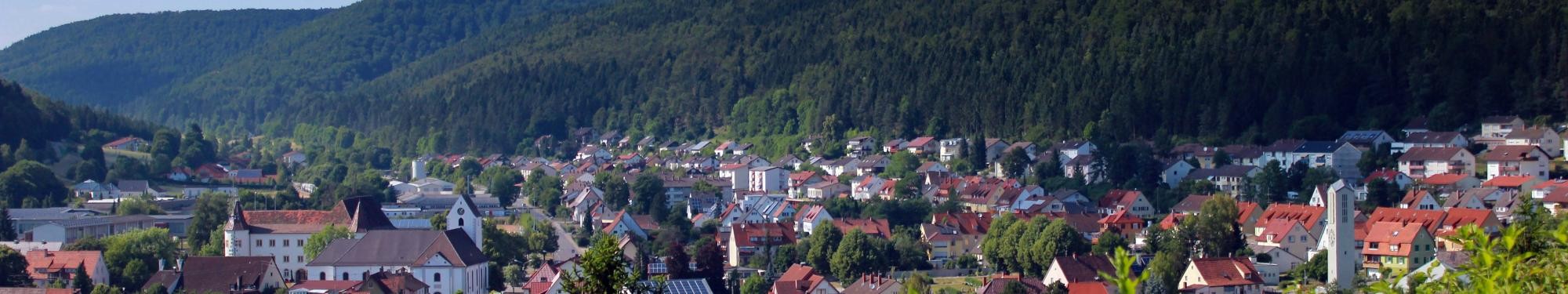 Luftaufnahme Immendingen mit Donau, Unterem Schloss und Donaupark Luftaufnahme Immendingen mit Donau, Unterem Schloss und Donaupark