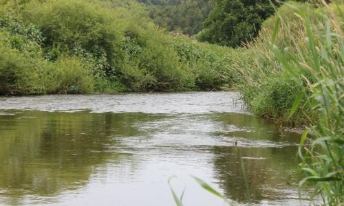 Flussbett Flussbett mit normalem Wasserstand