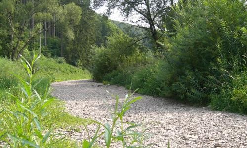 Donauversickerung Donauversickerung