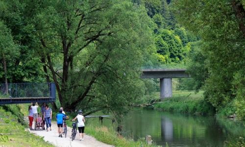 Steg und Fußweg im Donauuferpark Steg und Fußweg im Donauuferpark
