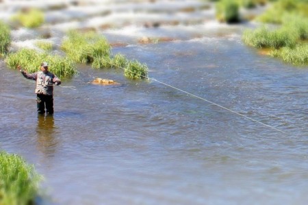Angler in der Donau