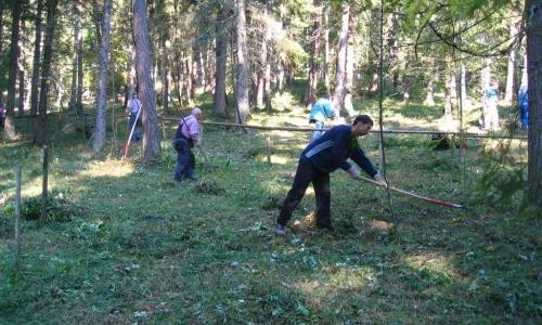 Pflegemaßnahmen durch die Ortsgruppe des Schwarzwaldvereins Immendingen