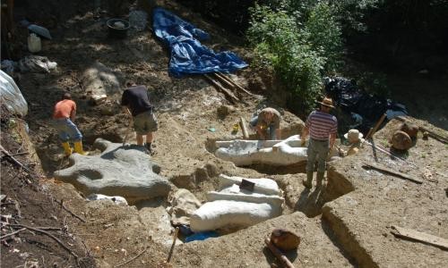 Grabungen am Höwenegg Grabungen am Höwenegg