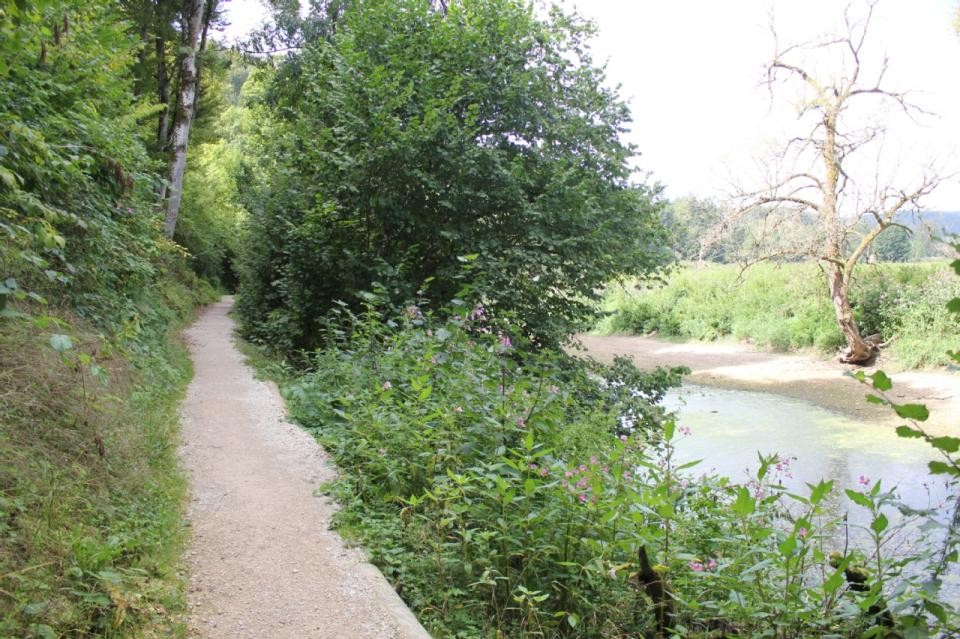 Uferweg Donauversinkung