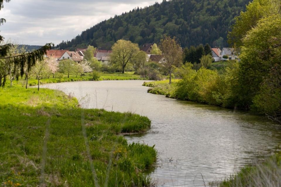 Donauverlauf bei Hintschingen