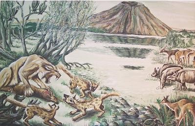  Landschaftsbild Höwenegg vor 10 Millionen Jahren