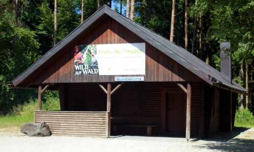 Gedeckte Holzbrücke über die Donau